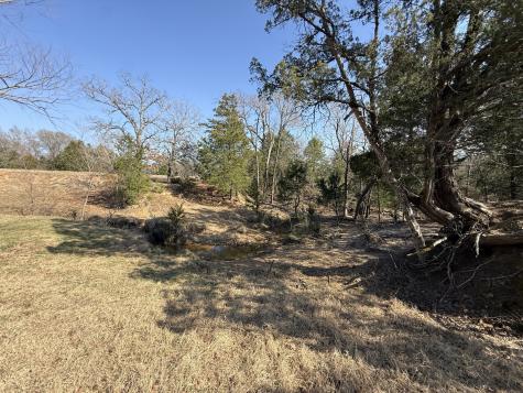 Tbd Tract 3 Fcr 510 Fairfield TX 75840