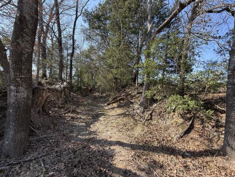 Tbd Tract 3 Fcr 510 Fairfield TX 75840