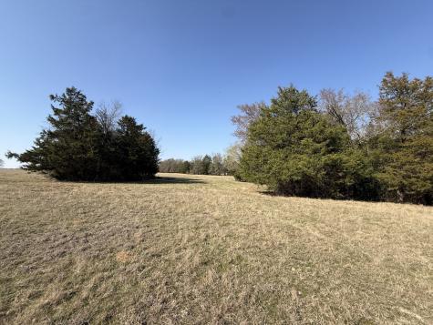 Tbd Tract 3 Fcr 510 Fairfield TX 75840