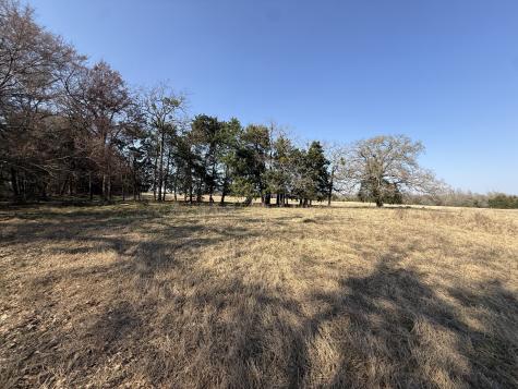 Tbd Tract 3 Fcr 510 Fairfield TX 75840