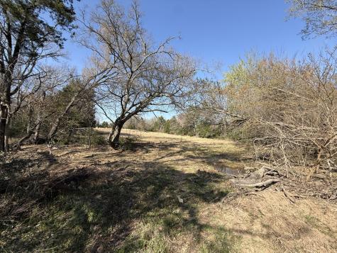 Tbd Tract 3 Fcr 510 Fairfield TX 75840