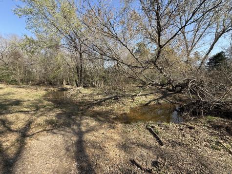 Tbd Tract 3 Fcr 510 Fairfield TX 75840