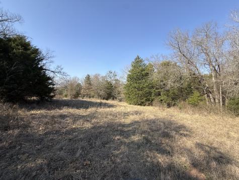 Tbd Tract 3 Fcr 510 Fairfield TX 75840