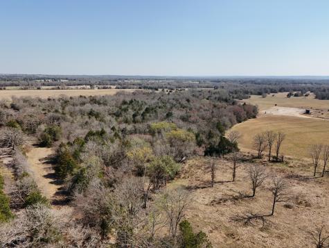 Tbd Tract 3 Fcr 510 Fairfield TX 75840