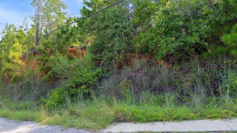 Lot 964 Kaapahu Drive Bastrop TX 78602