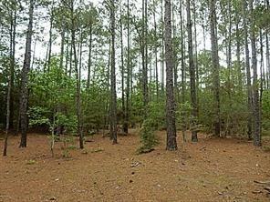 21510 Timber Ridge Drive Magnolia TX 77355
