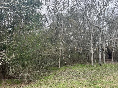 Tbd Us Highway 77 South Yoakum TX 77995