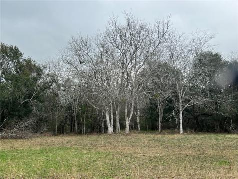 Tbd Us Highway 77 South Yoakum TX 77995
