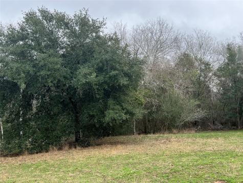 Tbd Us Highway 77 South Yoakum TX 77995