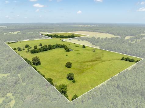 1044 Acr 379 Palestine TX 75801