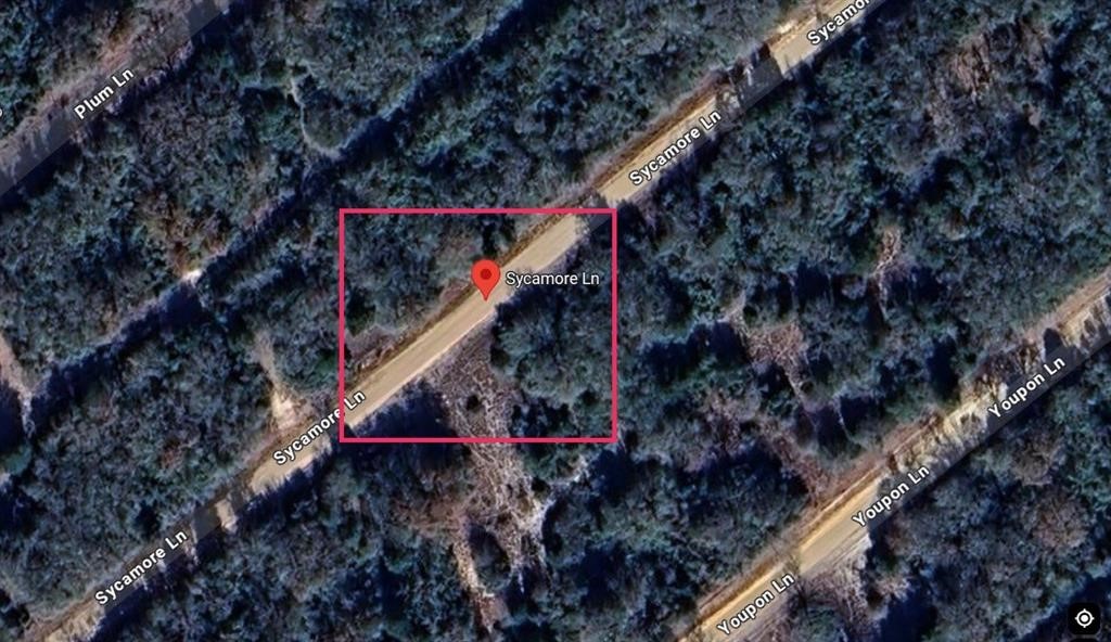 0 Sycamore Lane Normangee TX 77871