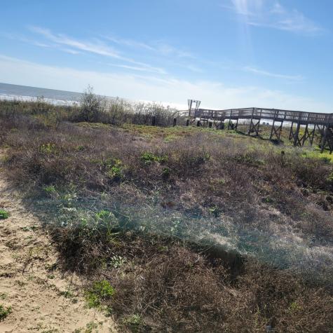 000 Ocean Drive Surfside Beach TX 77541