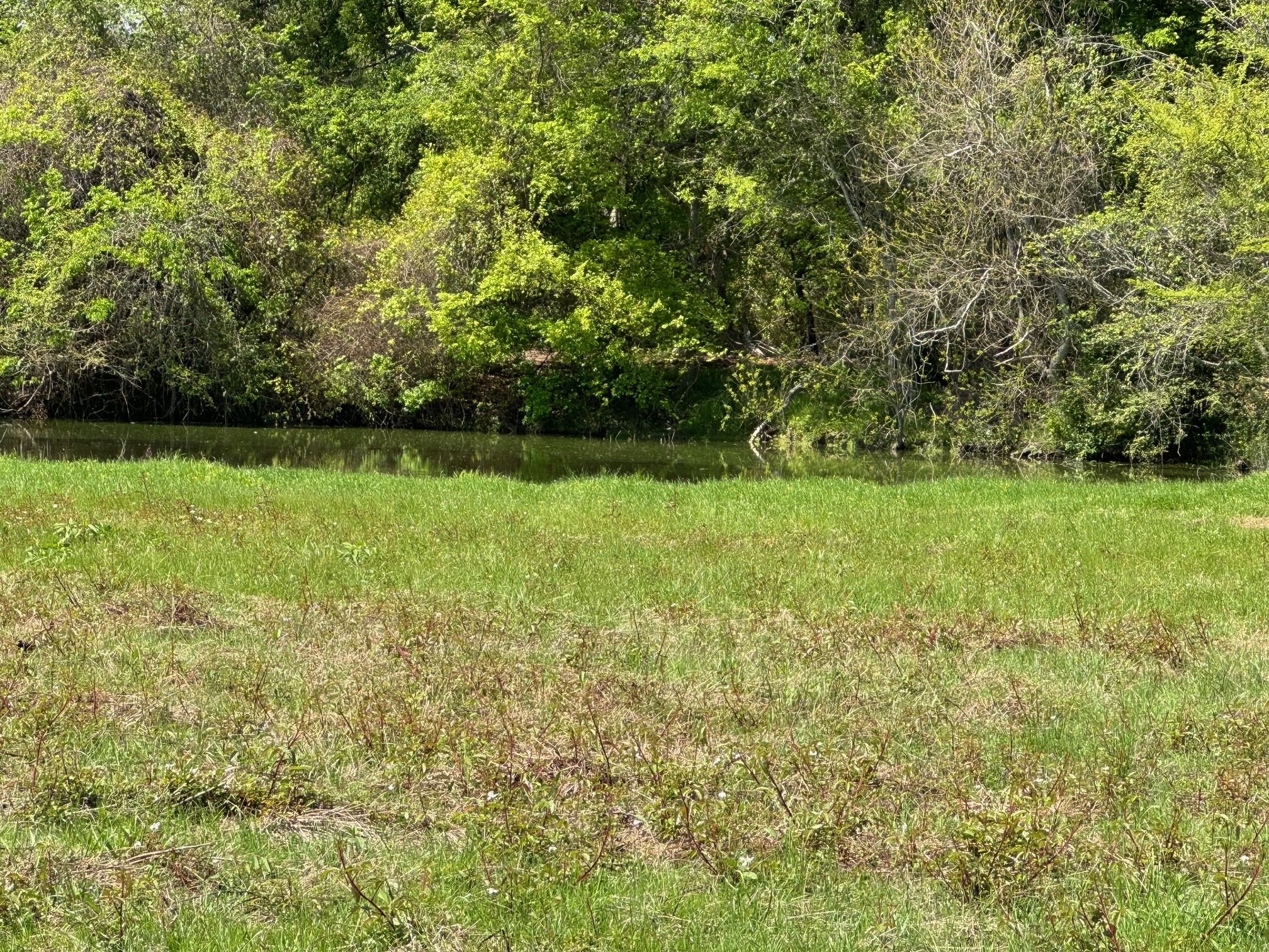 Tract #21 Southfield Trail Lovelady TX 75851