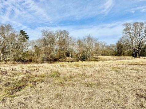 Tract #21 Southfield Trail Lovelady TX 75851