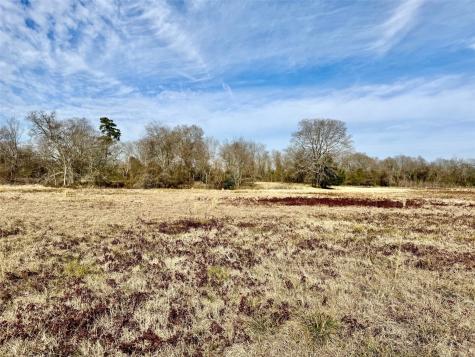 Tract #21 Southfield Trail Lovelady TX 75851
