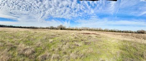 Tract #21 Southfield Trail Lovelady TX 75851