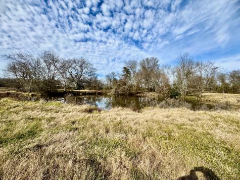 Tract #21 Southfield Trail Lovelady TX 75851