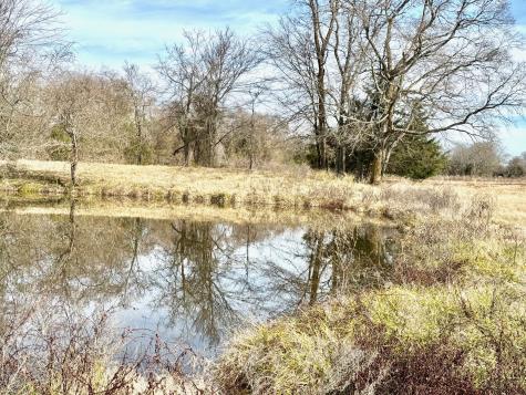 Tract #21 Southfield Trail Lovelady TX 75851