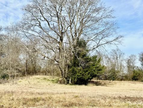 Tract #21 Southfield Trail Lovelady TX 75851