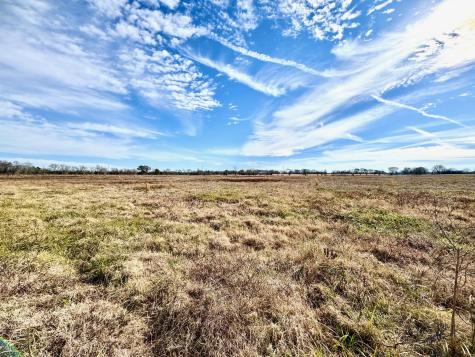 Tract #21 Southfield Trail Lovelady TX 75851