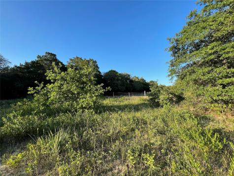0 Mule Creek Road Harwood TX 78632