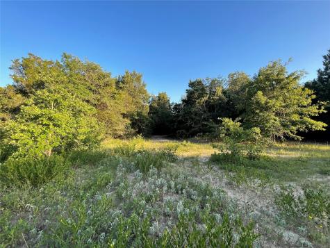 0 Mule Creek Road Harwood TX 78632