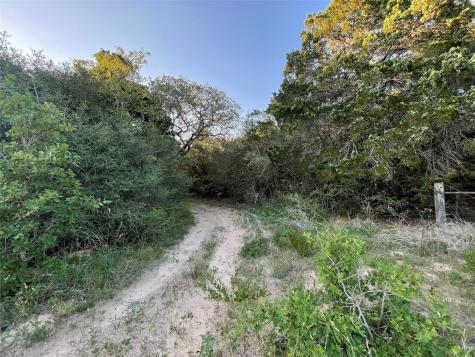 0 Mule Creek Road Harwood TX 78632