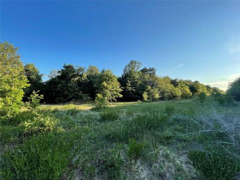 0 Mule Creek Road Harwood TX 78632