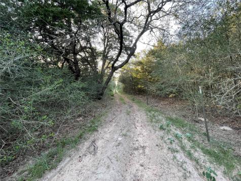 0 Mule Creek Road Harwood TX 78632