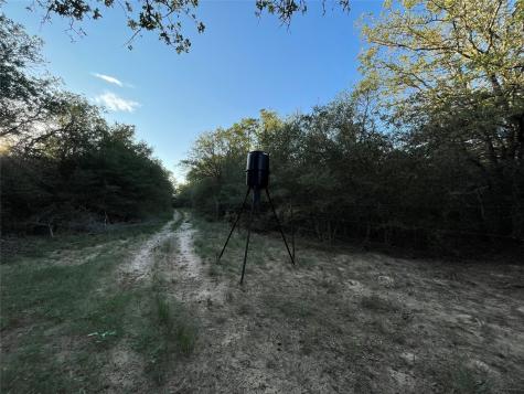 0 Mule Creek Road Harwood TX 78632
