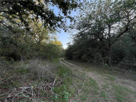 0 Mule Creek Road Harwood TX 78632