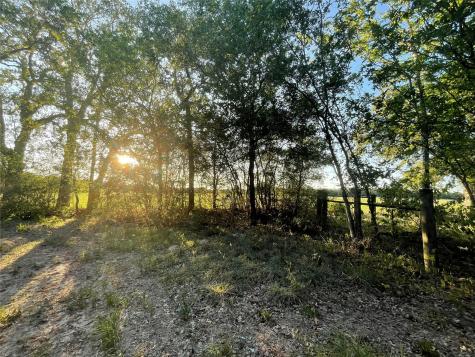 0 Mule Creek Road Harwood TX 78632