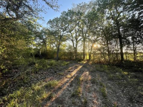 0 Mule Creek Road Harwood TX 78632