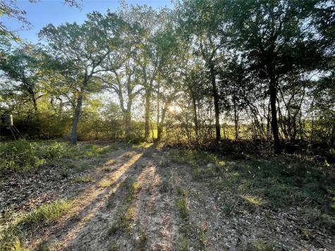 0 Mule Creek Road Harwood TX 78632
