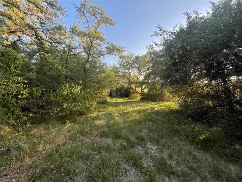 0 Mule Creek Road Harwood TX 78632