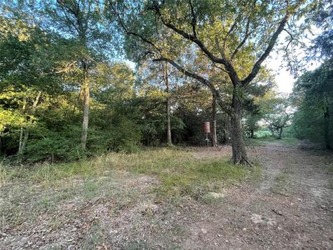 0 Mule Creek Road Harwood TX 78632