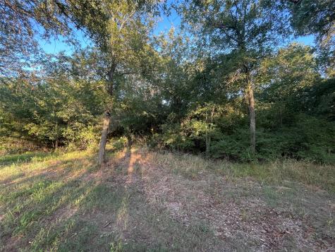 0 Mule Creek Road Harwood TX 78632