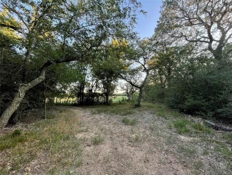 0 Mule Creek Road Harwood TX 78632