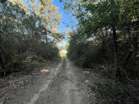 0 Mule Creek Road Harwood TX 78632