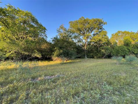 0 Mule Creek Road Harwood TX 78632