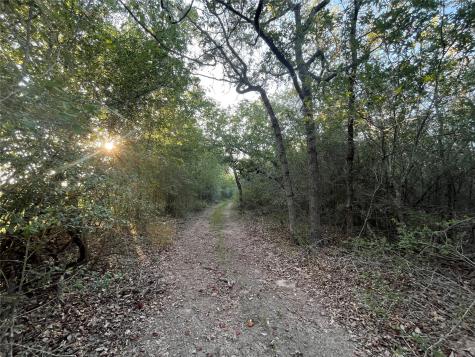 0 Mule Creek Road Harwood TX 78632