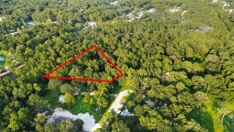 25973 Sussex New Caney TX 77357
