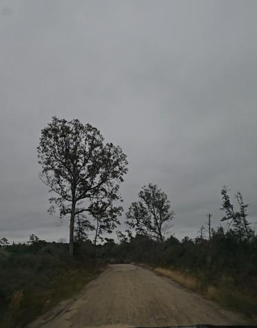 0 County Road 310 Jasper TX 75951