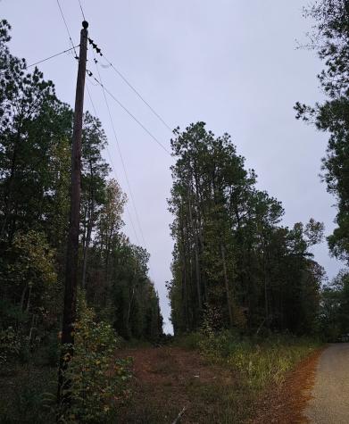 0 County Road 310 Jasper TX 75951