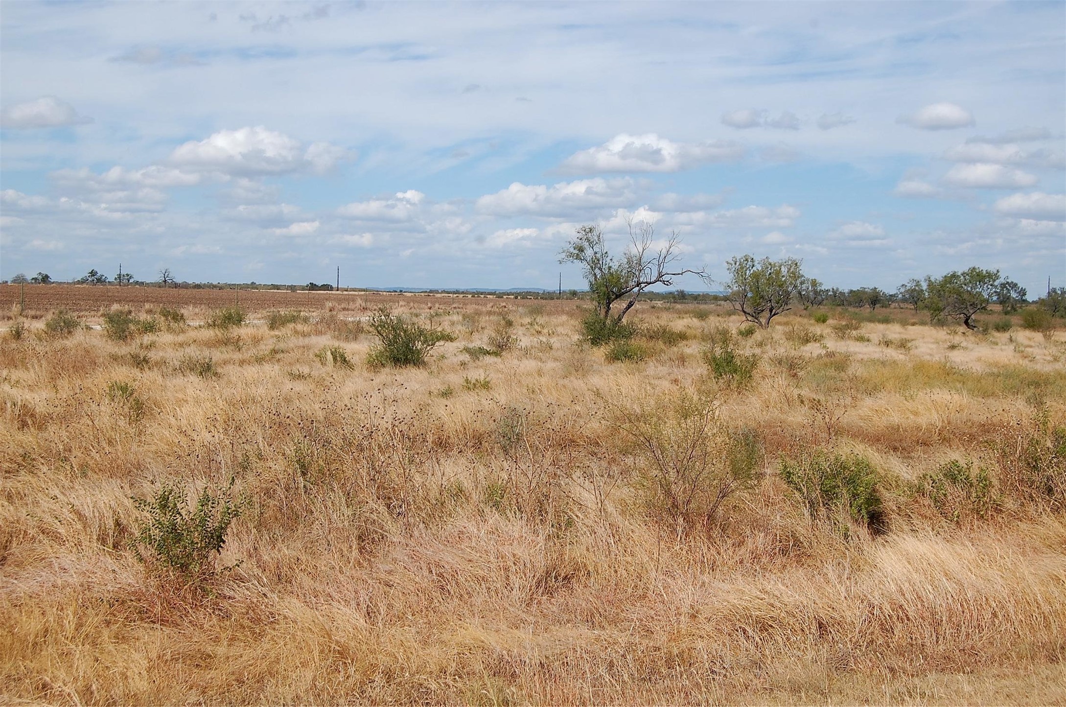 7081 County Road 301 Sabinal TX 78881