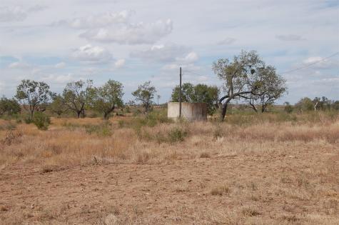 7081 County Road 301 Sabinal TX 78881