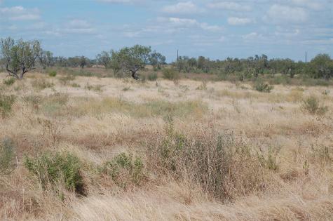 7081 County Road 301 Sabinal TX 78881