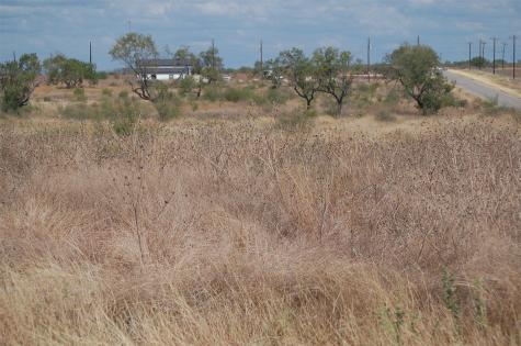 7081 County Road 301 Sabinal TX 78881