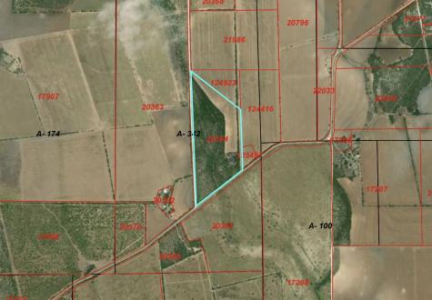 7081 County Road 301 Sabinal TX 78881