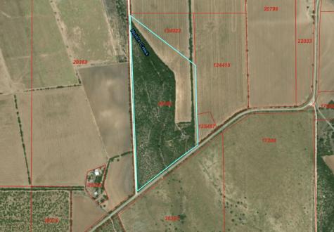 7081 County Road 301 Sabinal TX 78881